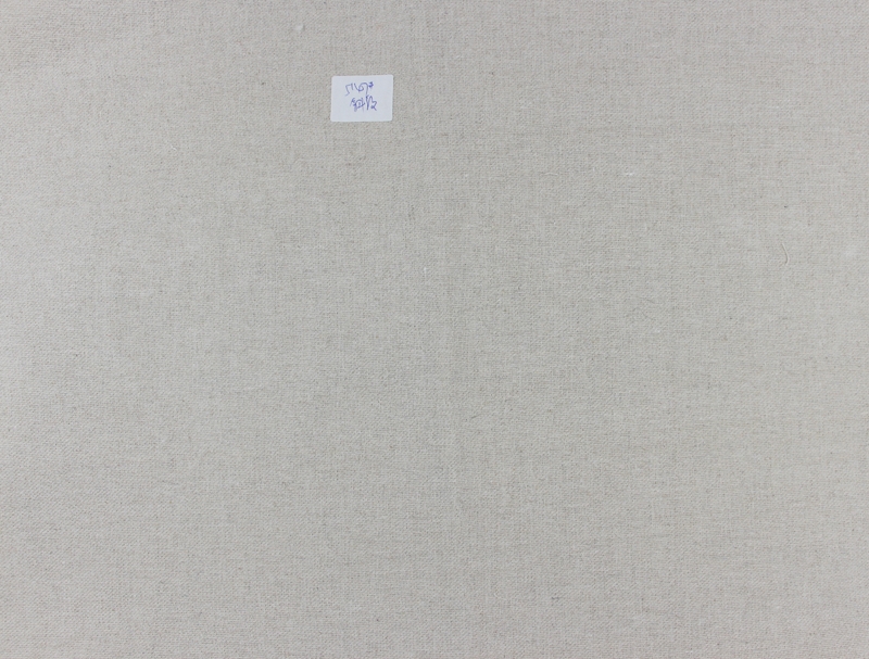 5147#斜紋布C.jpg